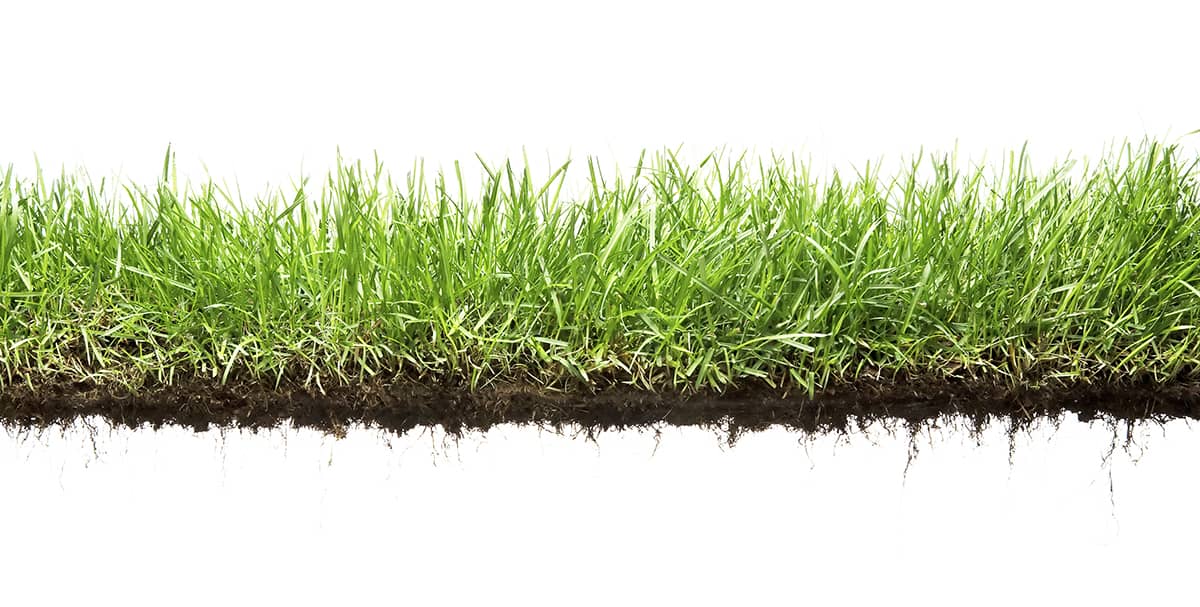 AllElectric Lawn Care Hoosier Energy