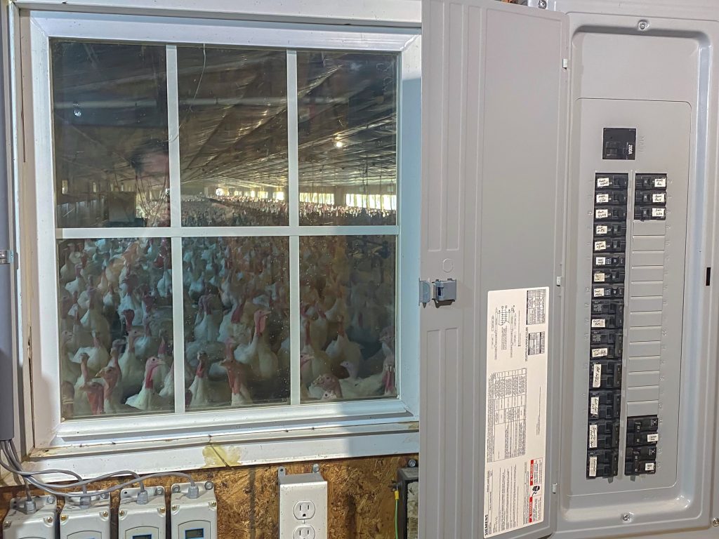 Turkey farm sees benefits of REAP TAG program - Hoosier Energy