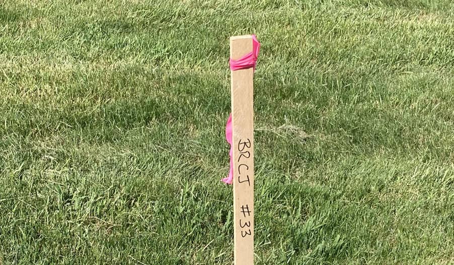 survey control marking stake